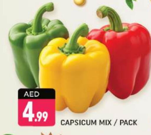 Chilli / Capsicum available at Shaklan  in UAE - Dubai