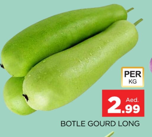 Gourd available at AL MADINA (Dubai) in UAE - Dubai