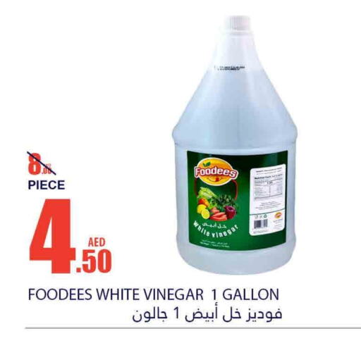 Vinegar available at Bismi Wholesale in UAE - Fujairah