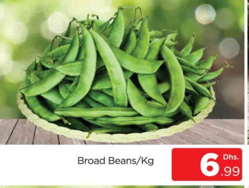 Beans available at AL MADINA (Dubai) in UAE - Dubai