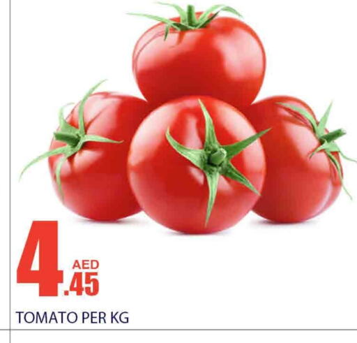 Tomato available at بسمي بالجملة in الإمارات العربية المتحدة , الامارات - ٱلْفُجَيْرَة‎