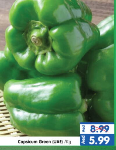 Chilli / Capsicum available at Al Madina Hypermarket in UAE - Abu Dhabi