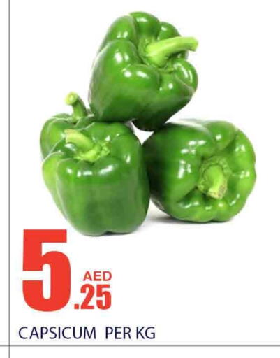 Chilli / Capsicum available at Bismi Wholesale in UAE - Dubai