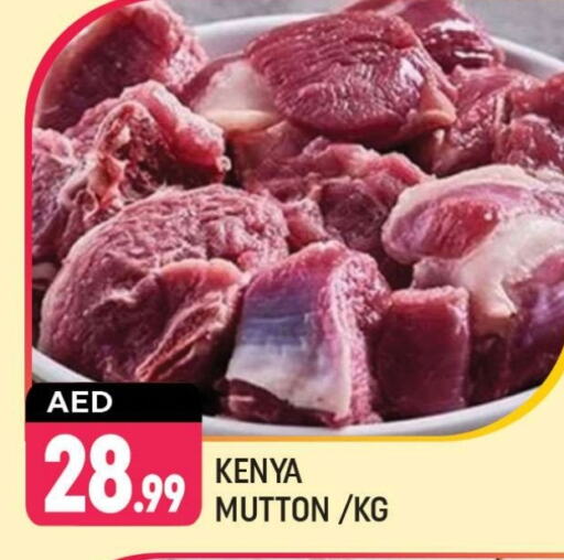 Mutton / Lamb available at Shaklan  in UAE - Dubai