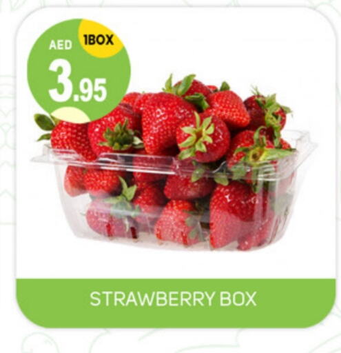 Strawberry available at سوق طلال in الإمارات العربية المتحدة , الامارات - الشارقة / عجمان