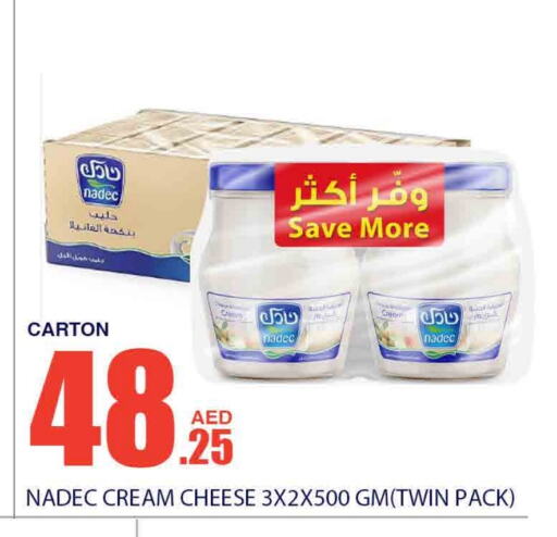 NADEC Cream Cheese available at Bismi Wholesale in UAE - Dubai