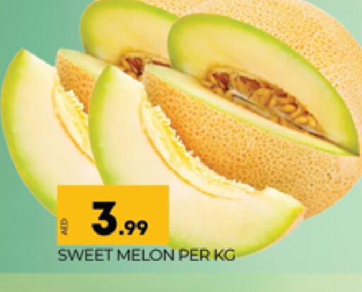 Sweet melon available at AL MADINA (Dubai) in UAE - Dubai