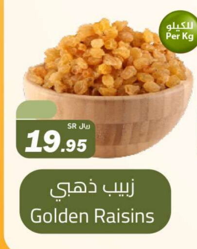 available at Hypermarket Stor in KSA, Saudi Arabia, Saudi - Tabuk