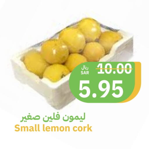 Lemon available at أسواق قاطبة in مملكة العربية السعودية, السعودية, سعودية - بريدة