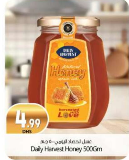 Honey available at BIGmart in UAE - Abu Dhabi