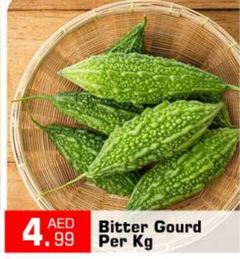 Gourd available at BIGmart in UAE - Abu Dhabi