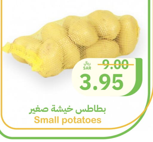 بطاطا available at أسواق قاطبة in مملكة العربية السعودية, السعودية, سعودية - بريدة