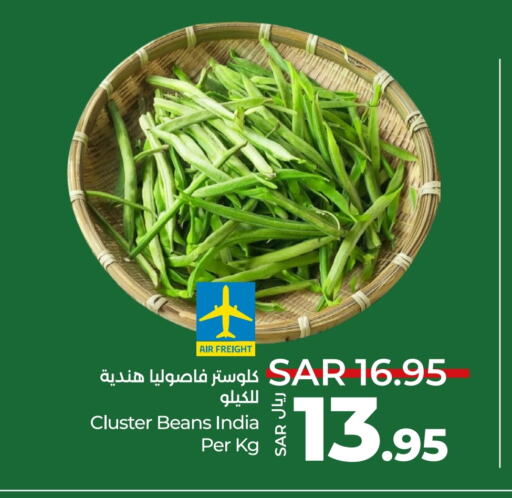 Beans from India available at LULU Hypermarket in KSA, Saudi Arabia, Saudi - Tabuk