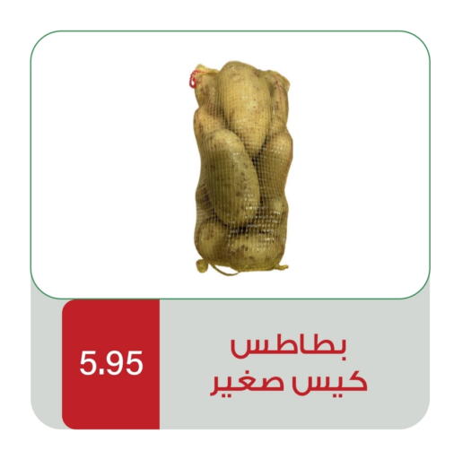 بطاطا available at هوم ماركت in مملكة العربية السعودية, السعودية, سعودية - مكة المكرمة