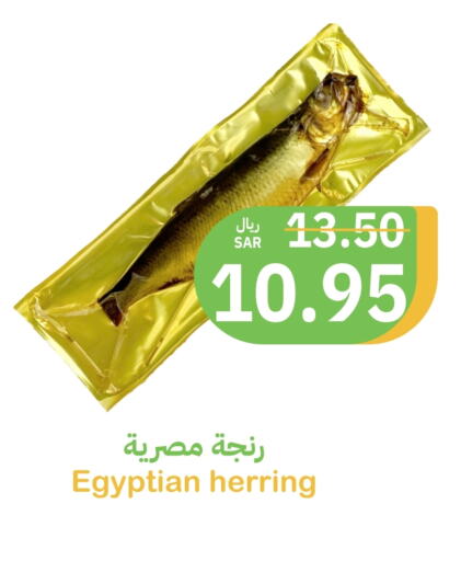 available at أسواق قاطبة in مملكة العربية السعودية, السعودية, سعودية - بريدة