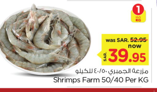 available at نستو in مملكة العربية السعودية, السعودية, سعودية - الأحساء‎