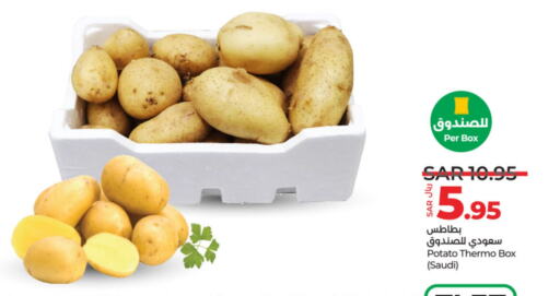 Potato from Saudi Arabia available at LULU Hypermarket in KSA, Saudi Arabia, Saudi - Unayzah