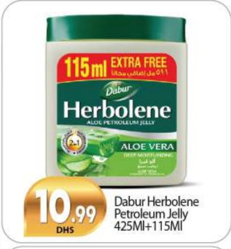 Petroleum Jelly available at BIGmart in UAE - Dubai