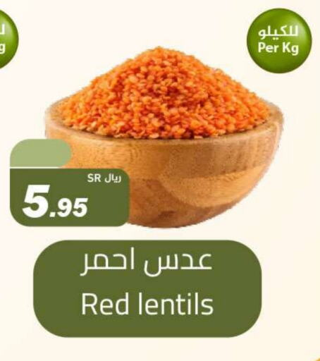 available at Hypermarket Stor in KSA, Saudi Arabia, Saudi - Tabuk