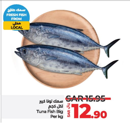 Tuna available at LULU Hypermarket in KSA, Saudi Arabia, Saudi - Jubail