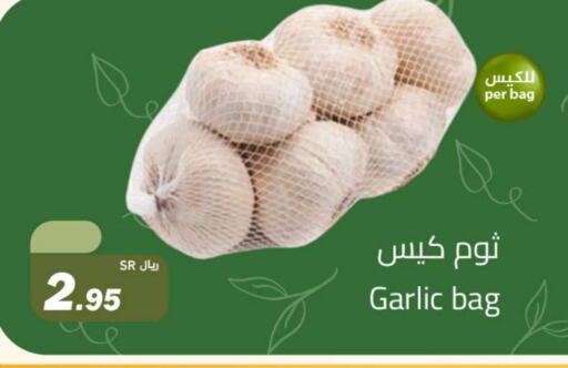 ثوم available at مخازن هايبرماركت in مملكة العربية السعودية, السعودية, سعودية - تبوك