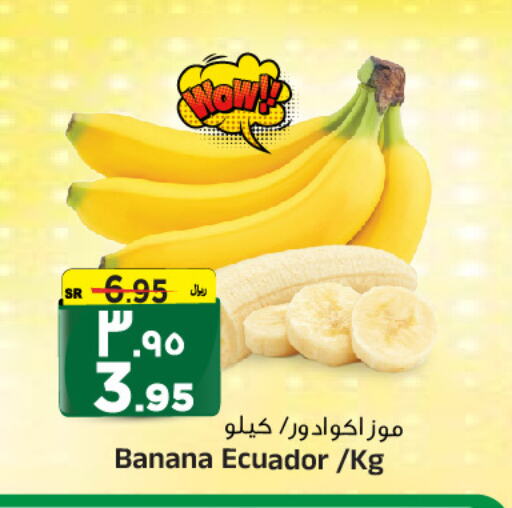 Banana from Ecuador available at Al Madina Hypermarket in KSA, Saudi Arabia, Saudi - Riyadh