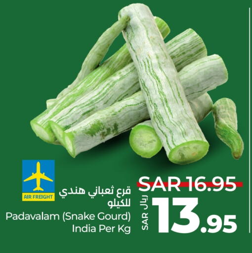 Gourd from India available at LULU Hypermarket in KSA, Saudi Arabia, Saudi - Yanbu