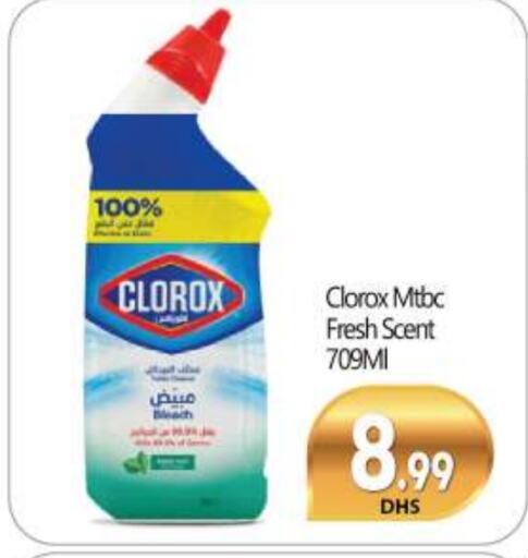 CLOROX General Cleaner available at BIGmart in UAE - Dubai