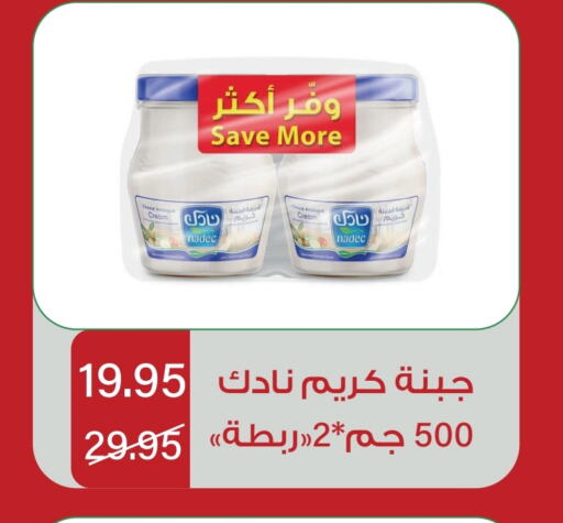 نادك available at هوم ماركت in مملكة العربية السعودية, السعودية, سعودية - مكة المكرمة