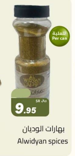 Spices available at Hypermarket Stor in KSA, Saudi Arabia, Saudi - Tabuk