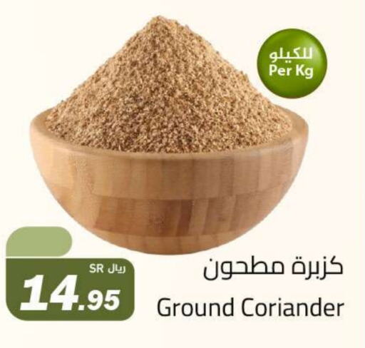 Coriander available at Hypermarket Stor in KSA, Saudi Arabia, Saudi - Tabuk