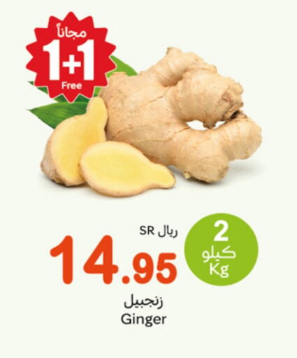 Ginger available at Othaim Markets in KSA, Saudi Arabia, Saudi - Hail