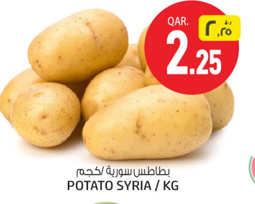 Potato from Syria available at Saudia Hypermarket in Qatar - Al Shamal