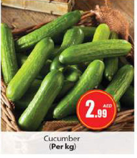 Cucumber available at Gulf Hypermarket LLC in UAE - Ras al Khaimah