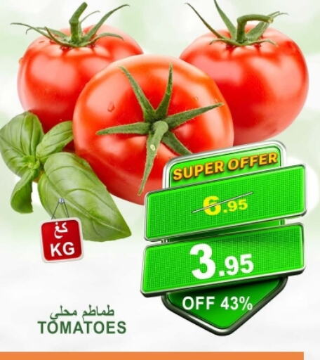 Tomato available at Khair Beladi Market in KSA, Saudi Arabia, Saudi - Yanbu