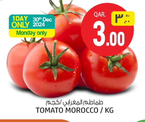 Tomato from Morocco available at السعودية in قطر - أم صلال