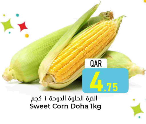 Beans from Qatar available at Dana Hypermarket in Qatar - Doha