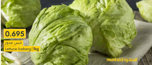 Lettuce available at المنتزه in البحرين