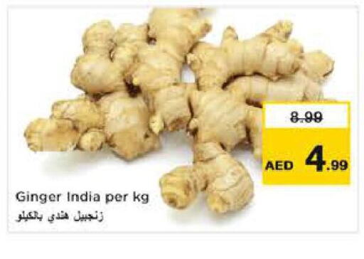 زنجبيل from India available at نستو هايبرماركت in الإمارات العربية المتحدة , الامارات - أبو ظبي