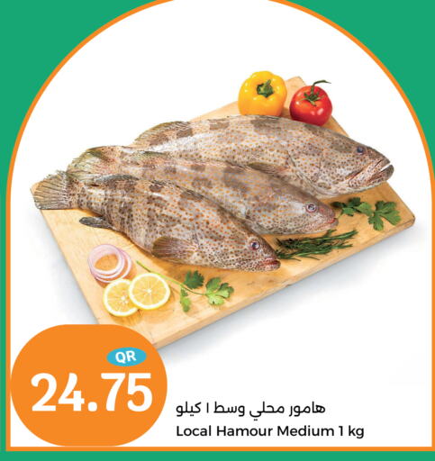 available at City Hypermarket in Qatar - Doha