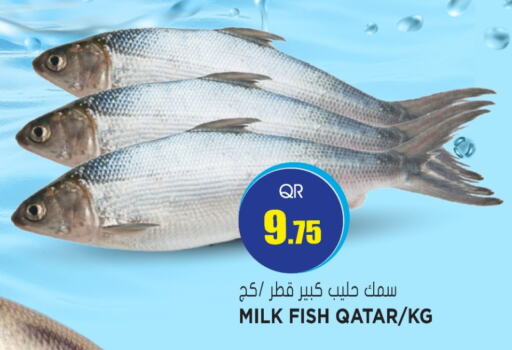 available at Grand Hypermarket in Qatar - Al Rayyan