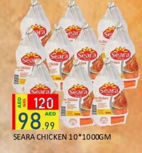 SEARA Frozen Whole Chicken available at ROYAL GULF HYPERMARKET LLC in UAE - Abu Dhabi