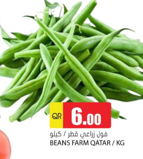 فاصوليا from Qatar available at جراند هايبرماركت in قطر - الشحانية