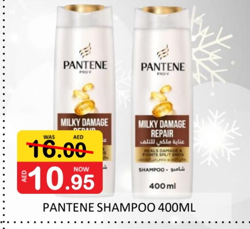 PANTENE Shampoo / Conditioner available at ROYAL GULF HYPERMARKET LLC in UAE - Abu Dhabi