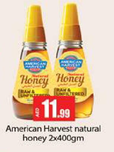 AMERICAN HARVEST Honey available at Gulf Hypermarket LLC in UAE - Ras al Khaimah