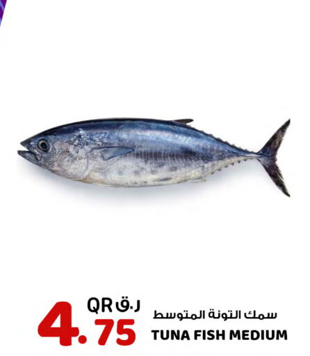 available at روابي هايبرماركت in قطر - الشمال