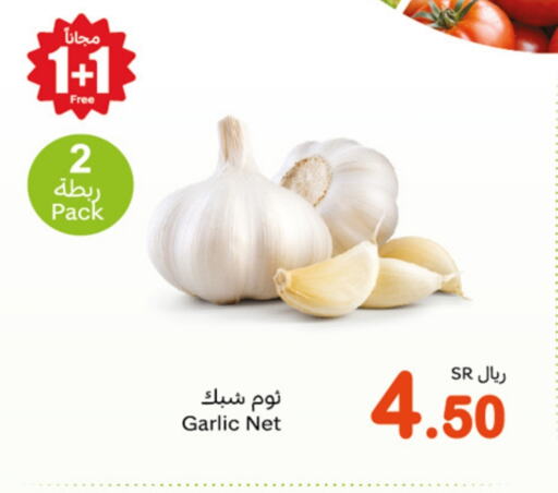 Garlic