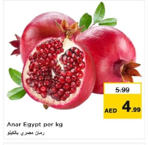 رمان from Egypt available at نستو هايبرماركت in الإمارات العربية المتحدة , الامارات - دبي