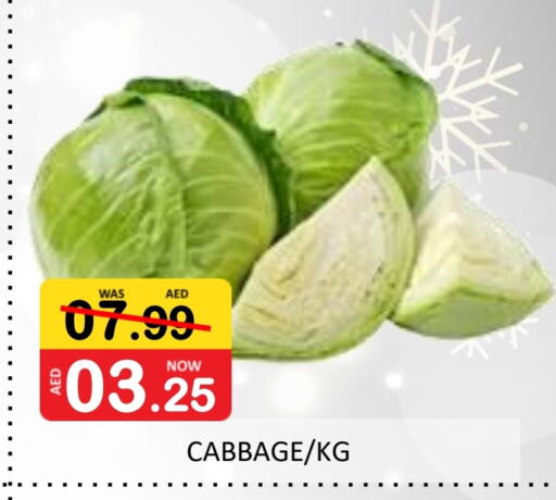 Cabbage available at ROYAL GULF HYPERMARKET LLC in UAE - Abu Dhabi