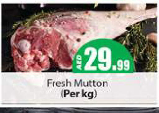 Mutton / Lamb available at Gulf Hypermarket LLC in UAE - Ras al Khaimah